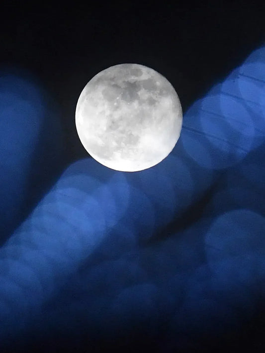 Under the Cold Moon: Closing 2025 & Lighting What’s Next at pureglow